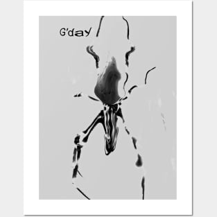 G'day from a spider. Posters and Art